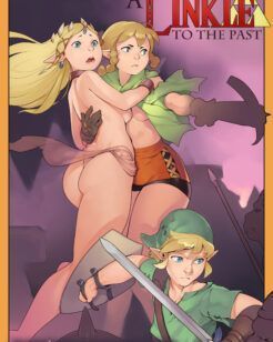 Link o herói do tempo, salve Zelda!